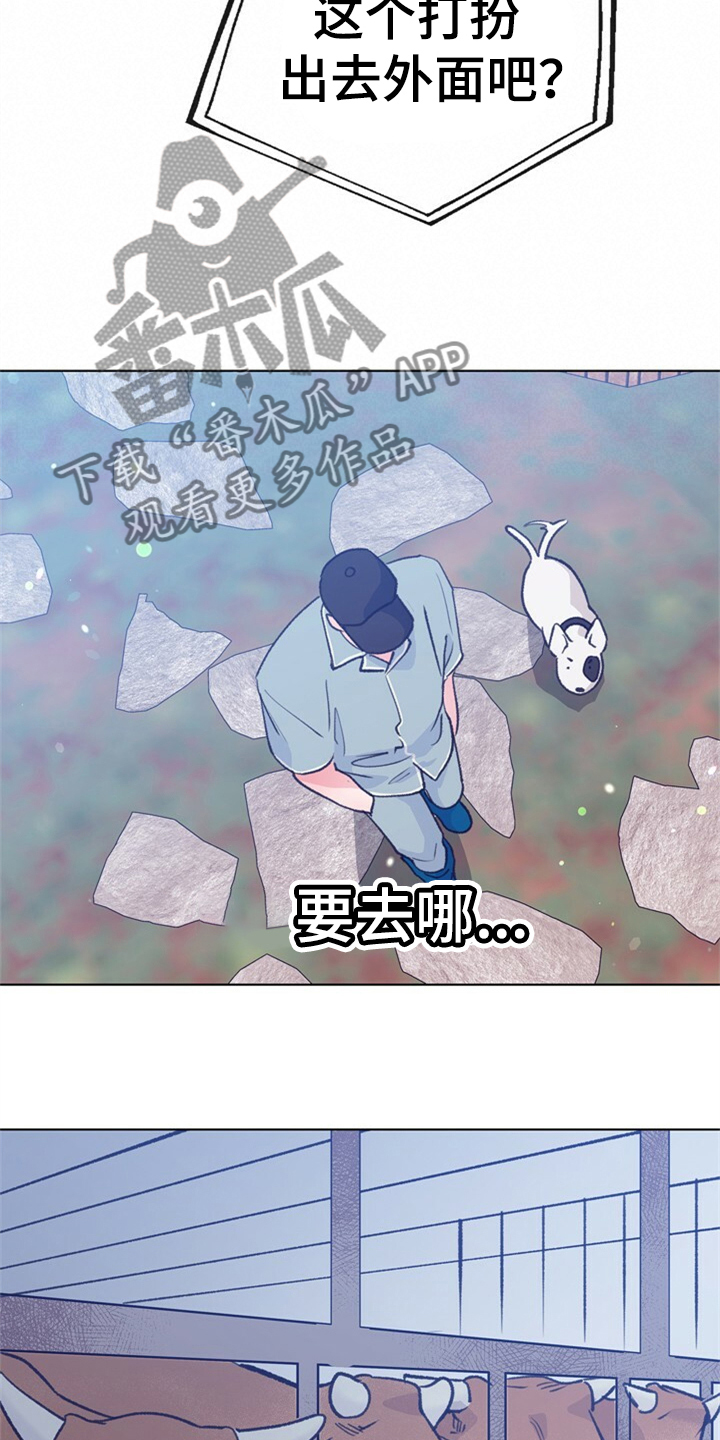 第155章：【第二季】日常综艺10