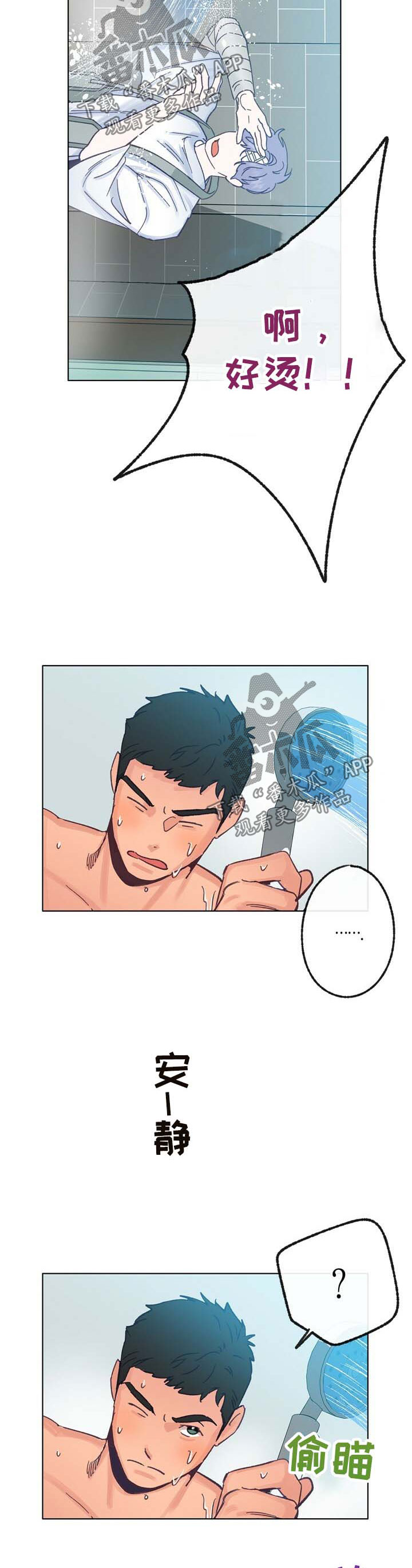 第35章：小鹿乱撞1