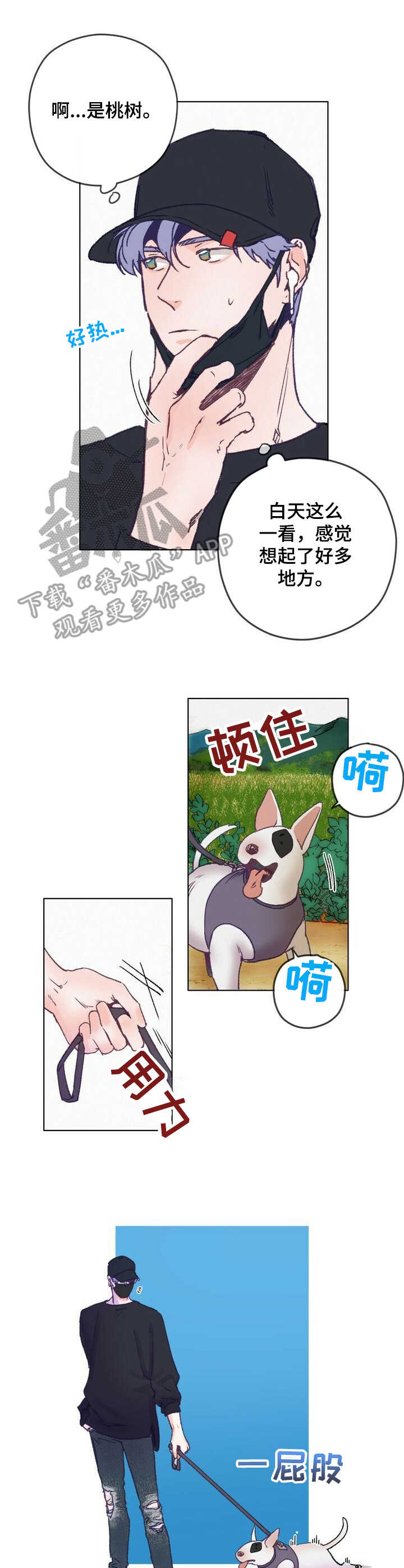 第3章：散步7