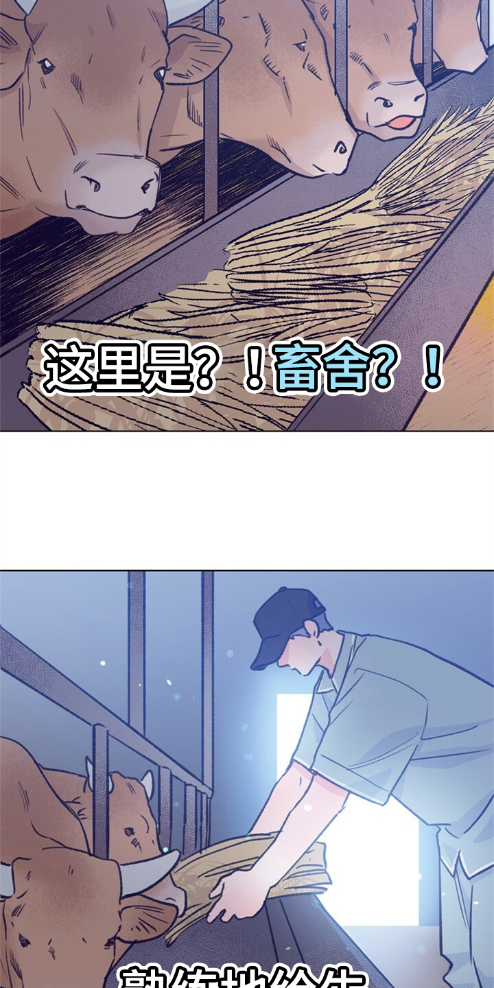 第155章：【第二季】日常综艺11