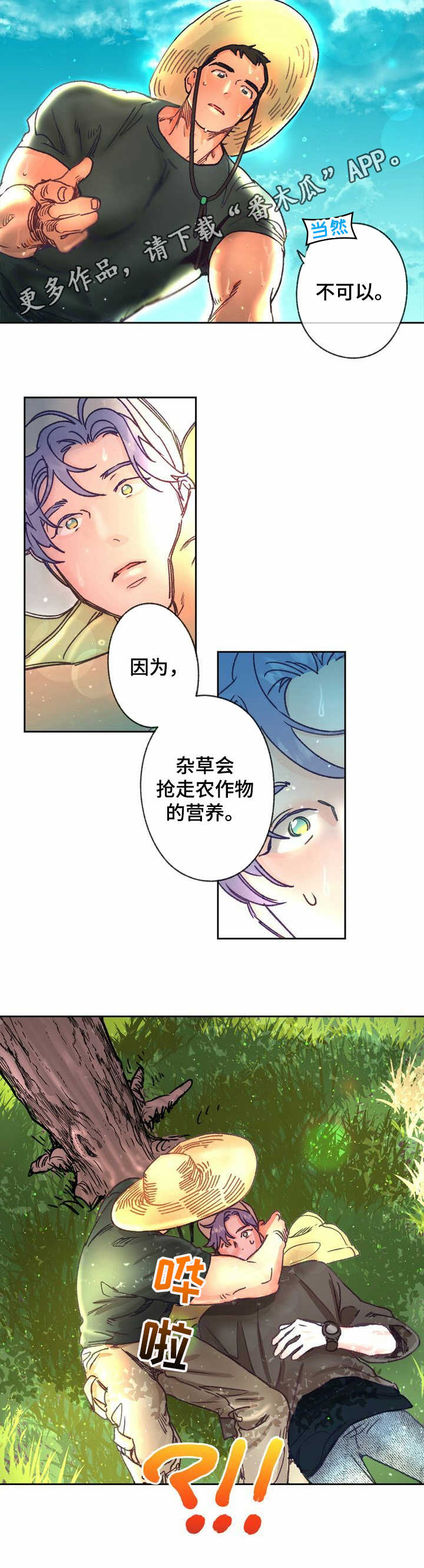 第11章：农活4