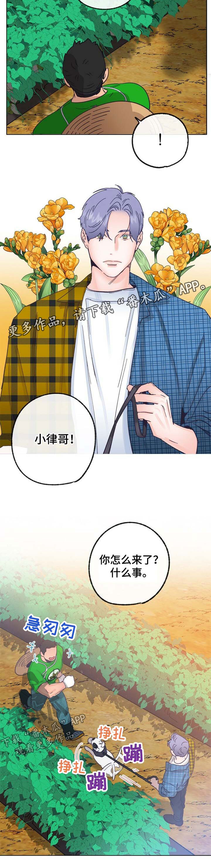 第42章：来人4