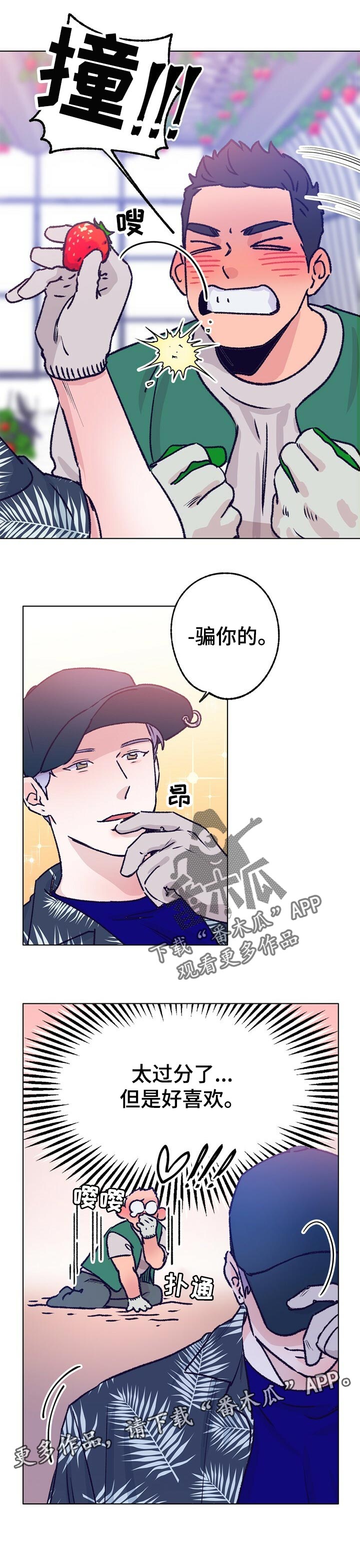 第64章：摘草莓10