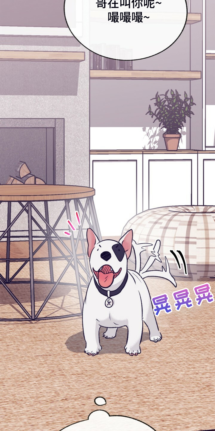 第154章：【第二季】最强者21
