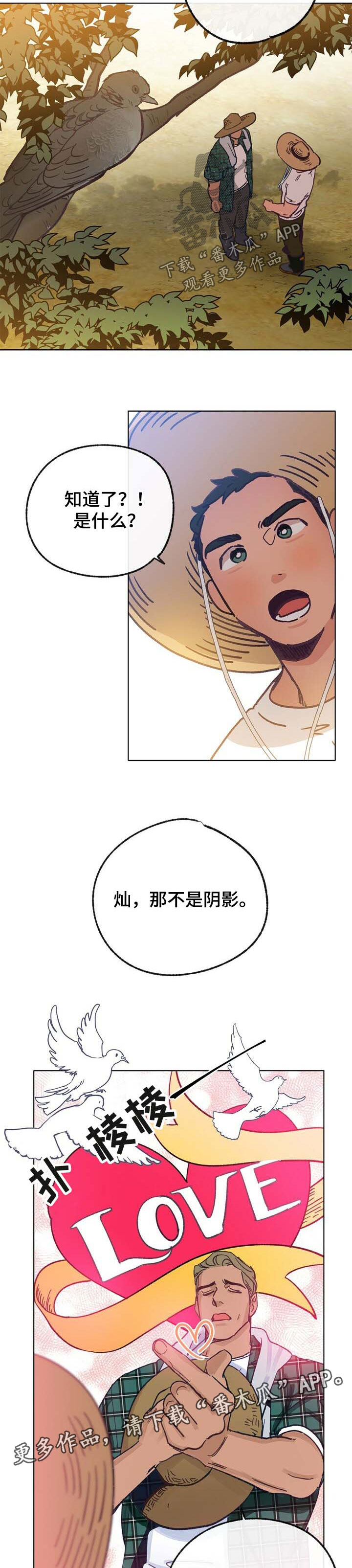 第39章：这是爱10