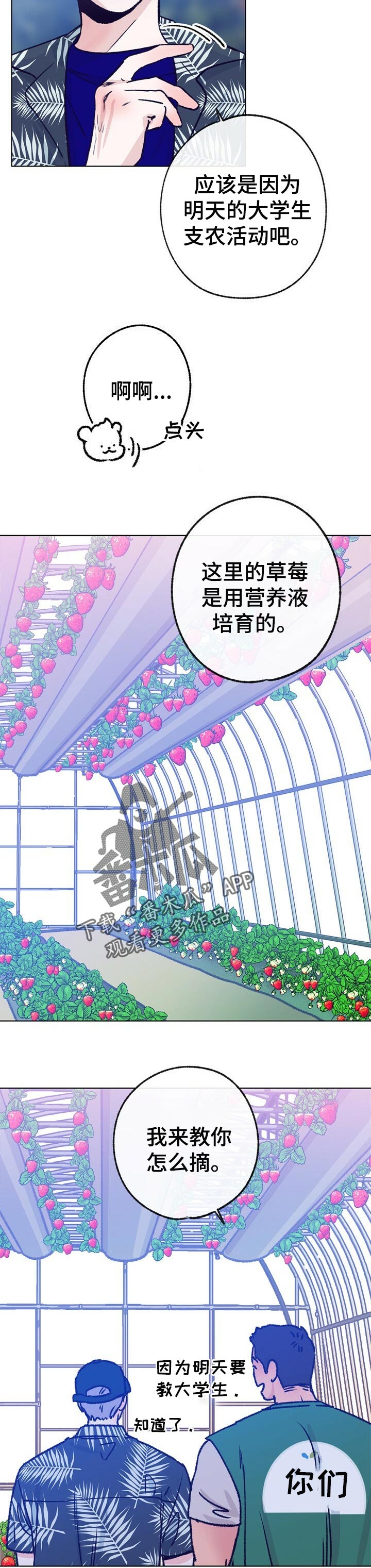 第64章：摘草莓3