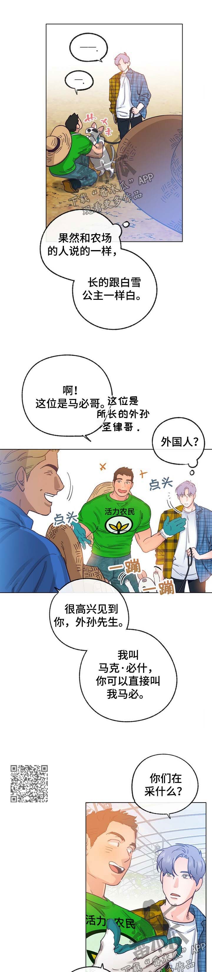 第42章：来人5