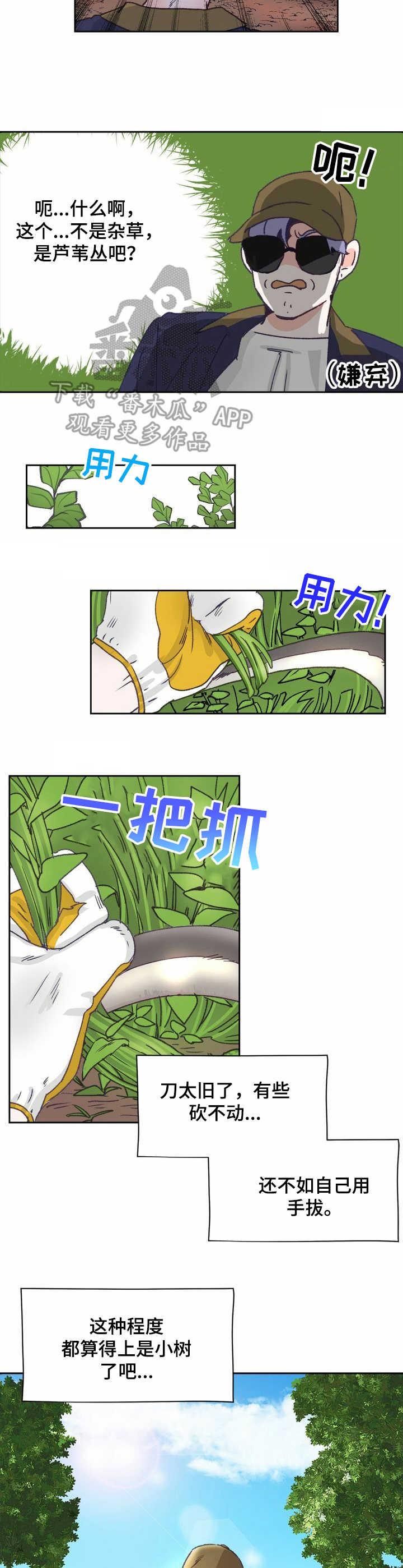 第8章：除草2