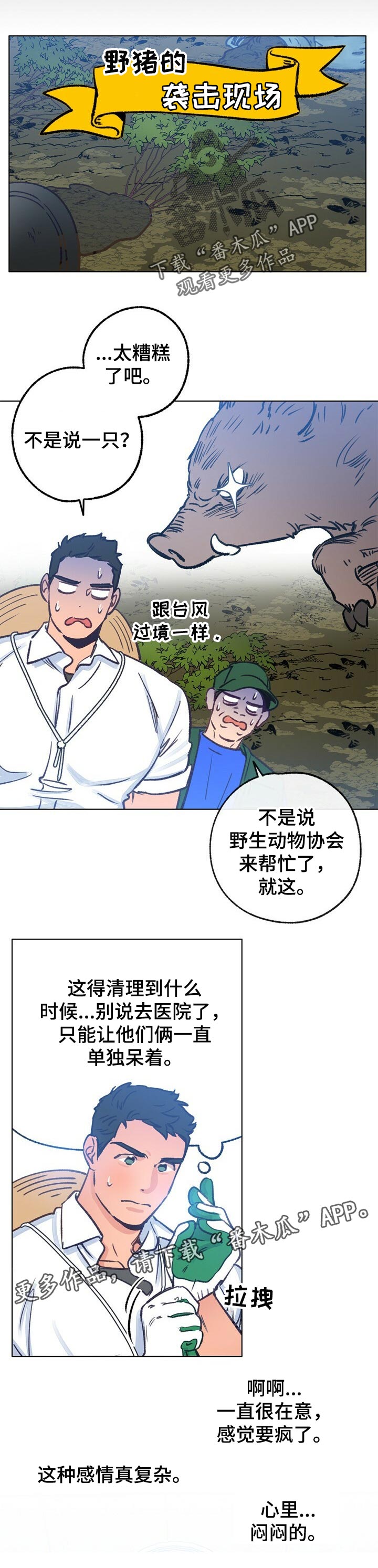 第53章：复杂的感情8