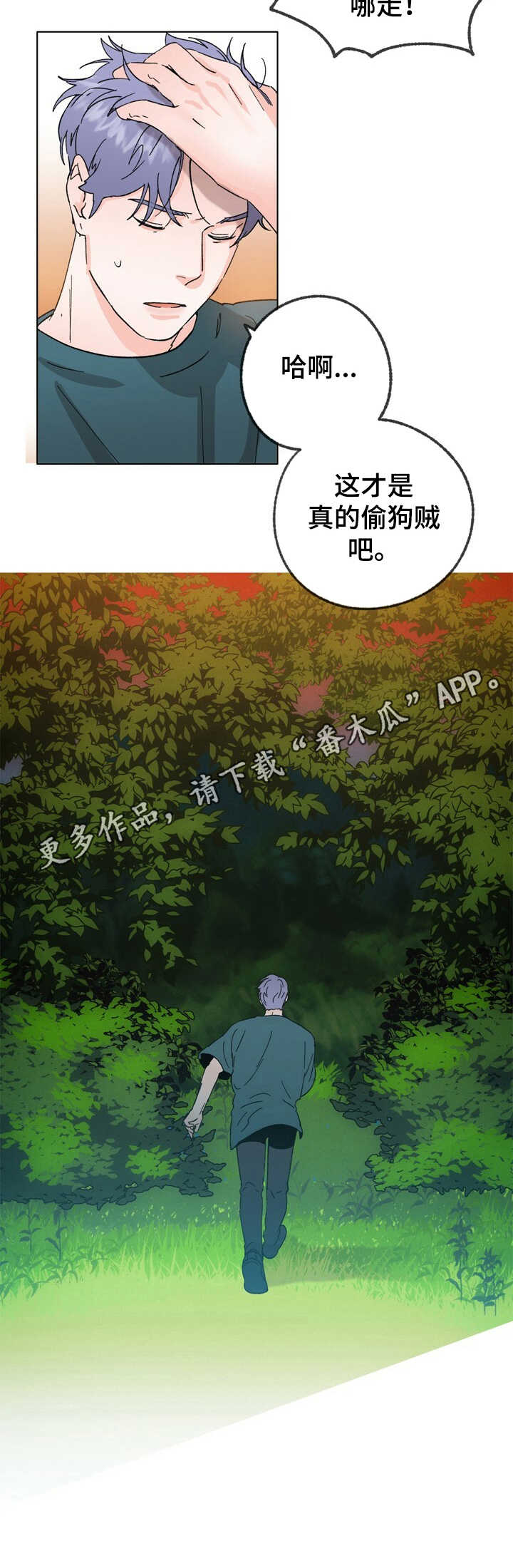 第23章：逃跑6