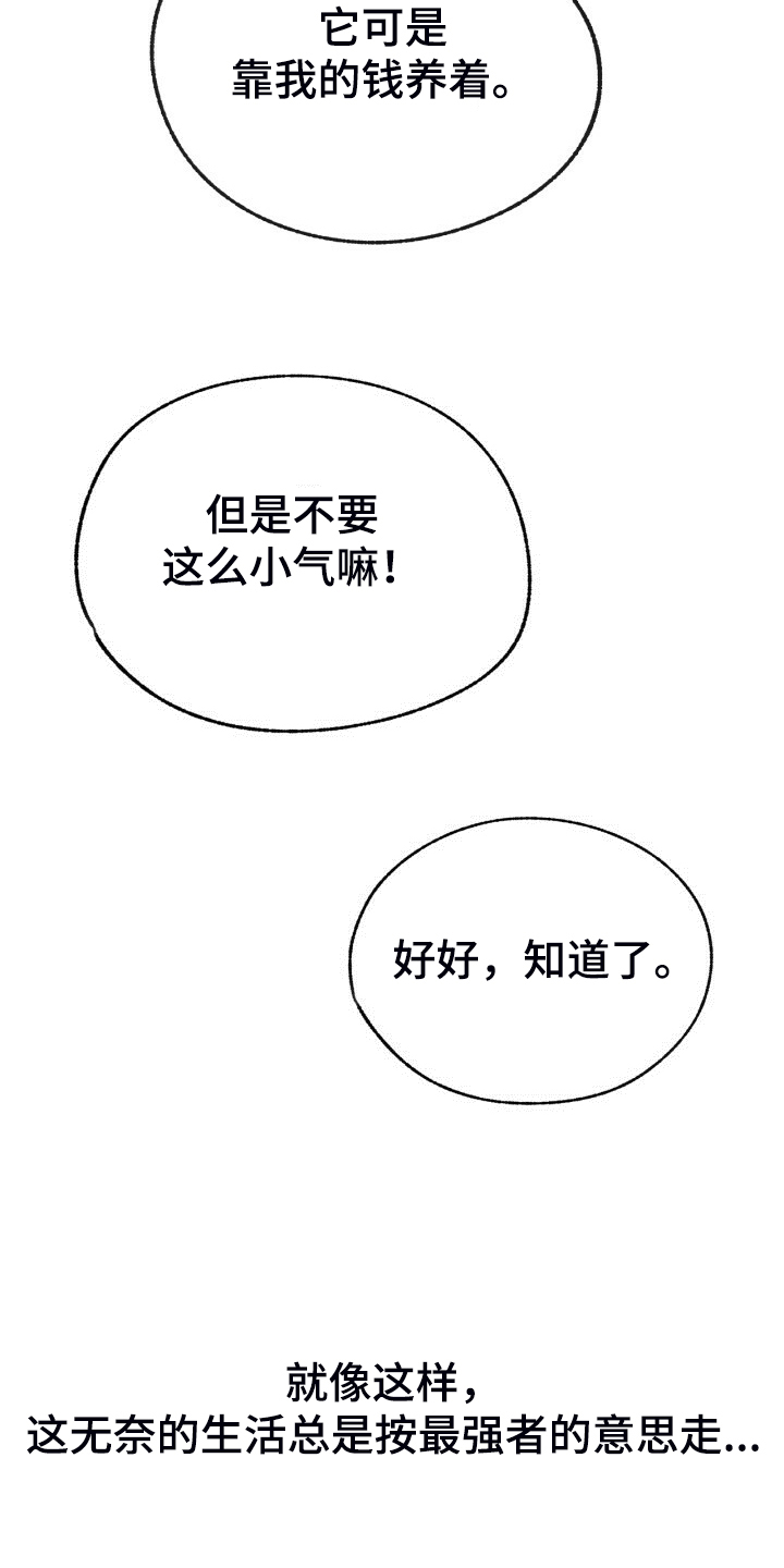 第154章：【第二季】最强者25