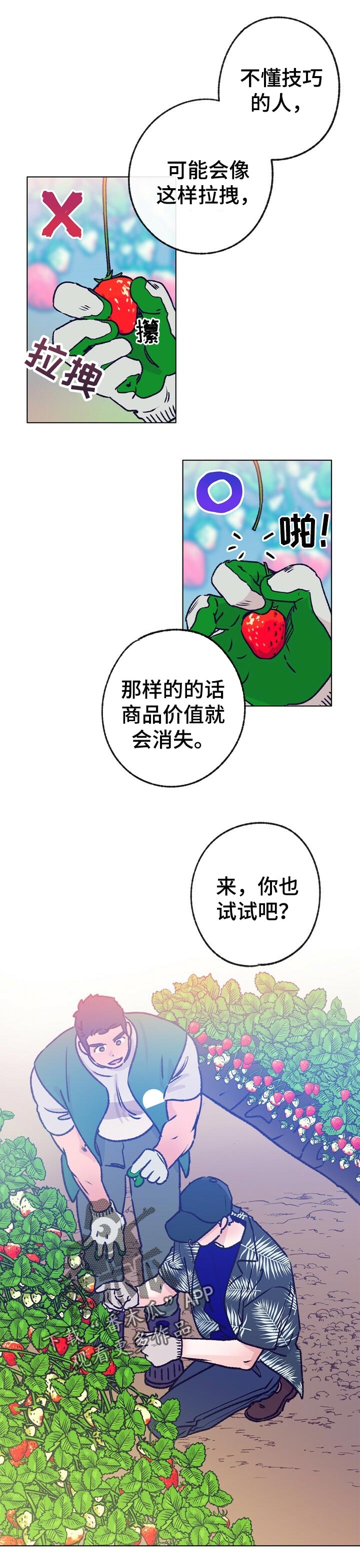 第64章：摘草莓5