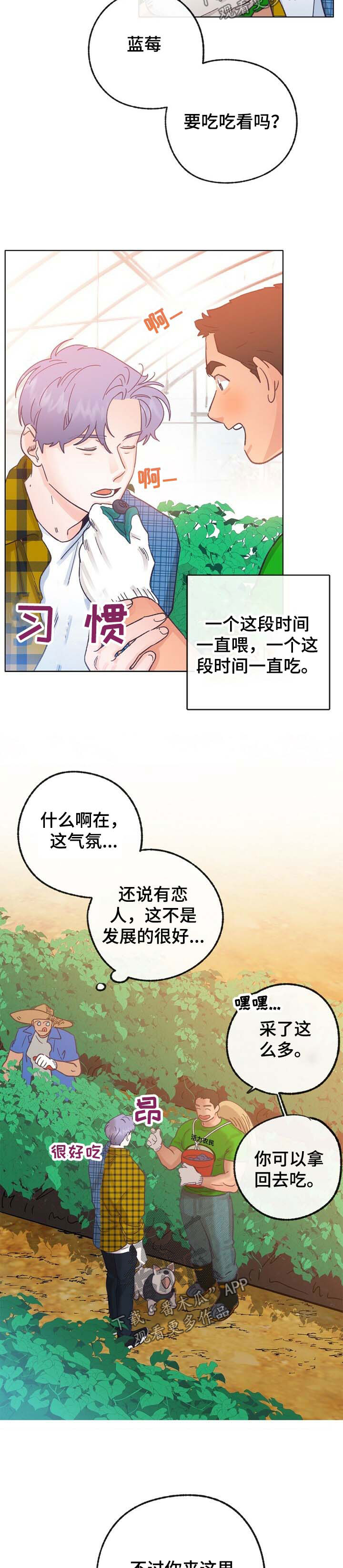 第42章：来人6