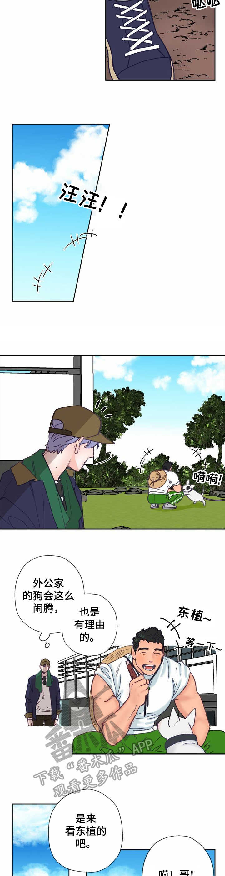 第8章：除草9