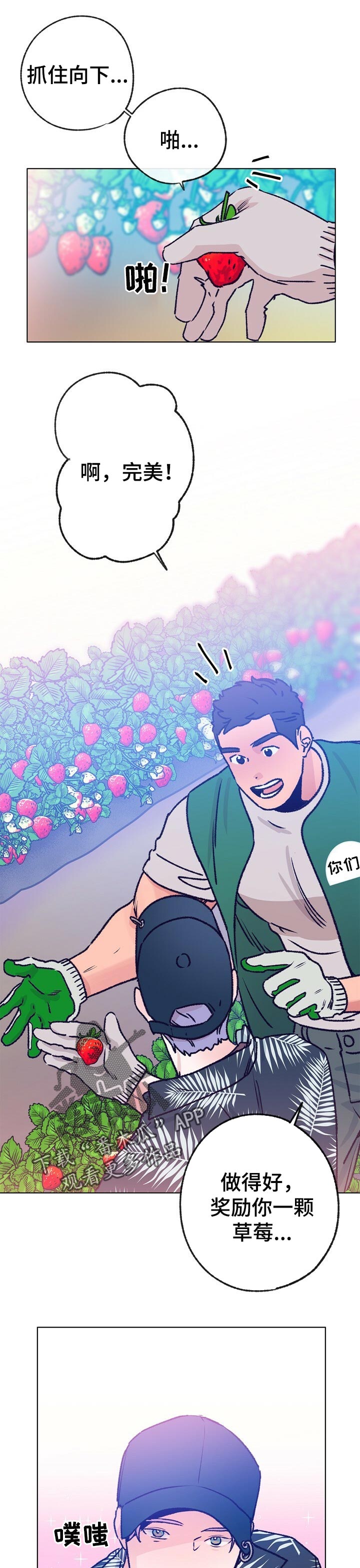 第64章：摘草莓6