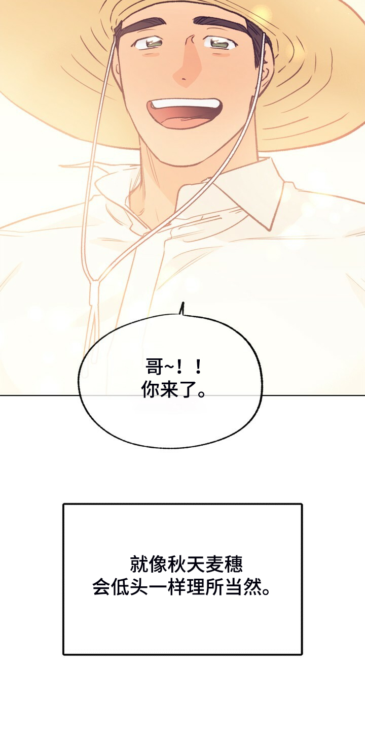 第141章：【第二季】金色的田野11