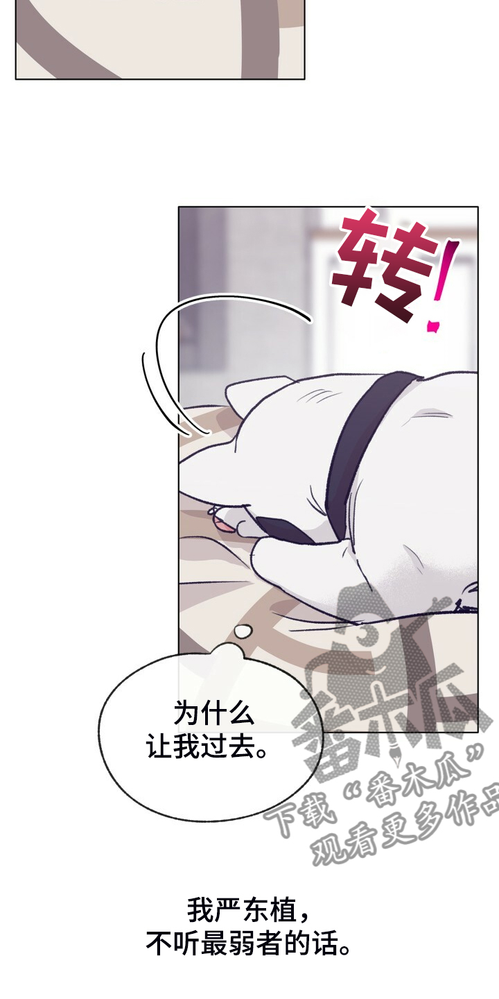 第154章：【第二季】最强者19