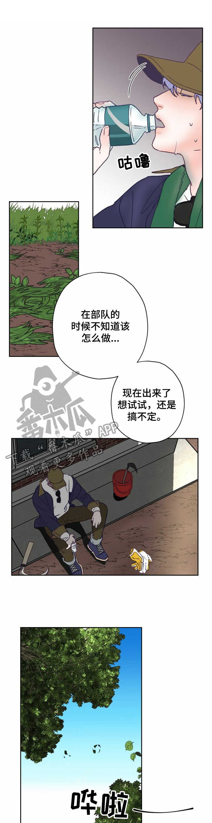 第8章：除草4
