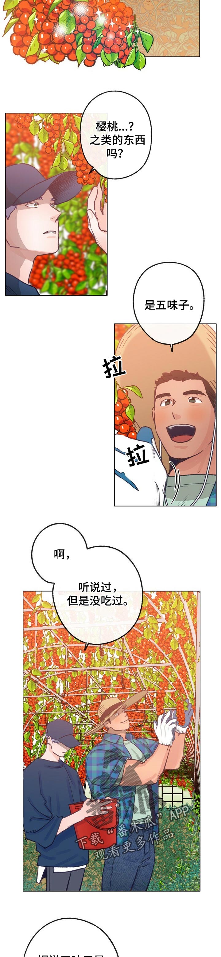 第61章：散步3