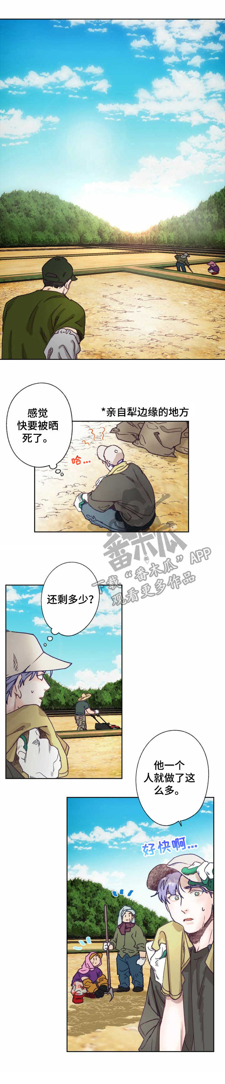 第11章：农活0