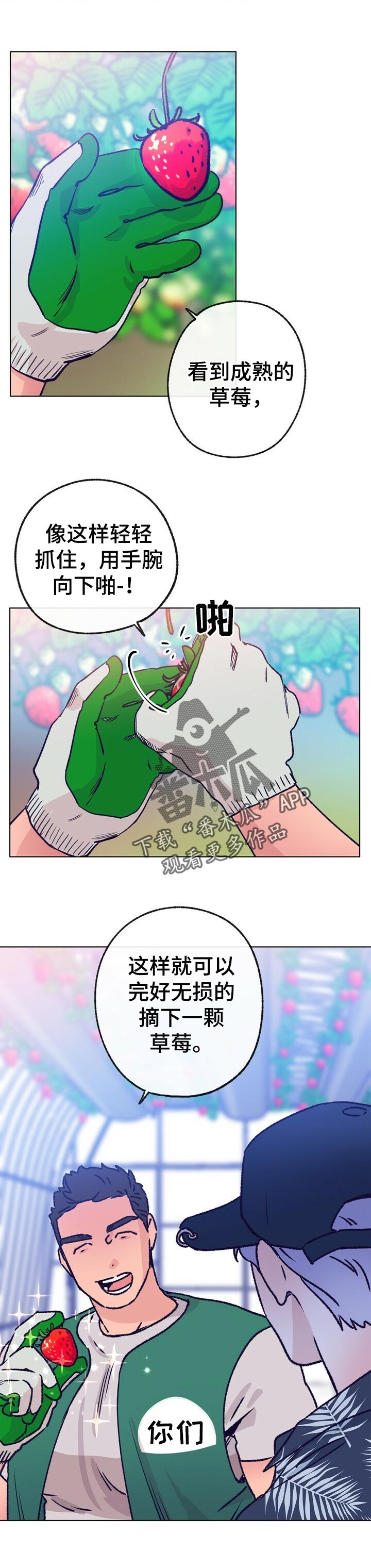 第64章：摘草莓4