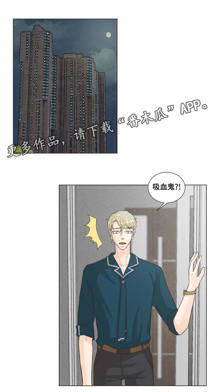 第21章：便宜点9