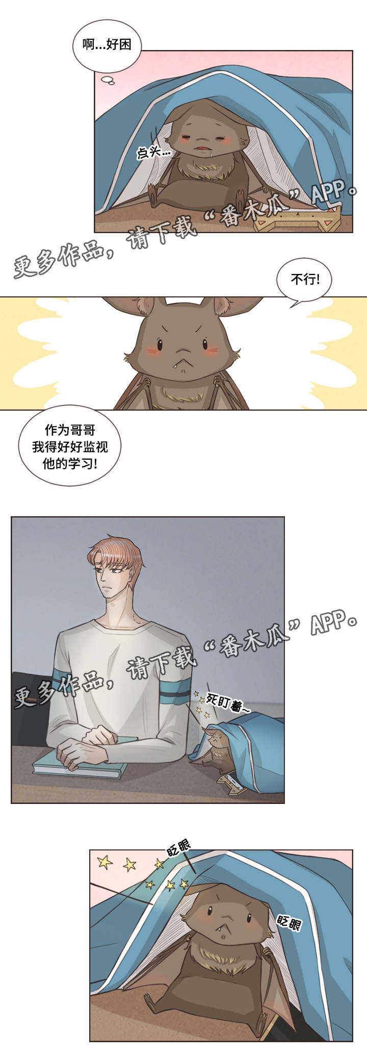 第29章：喜欢的人3