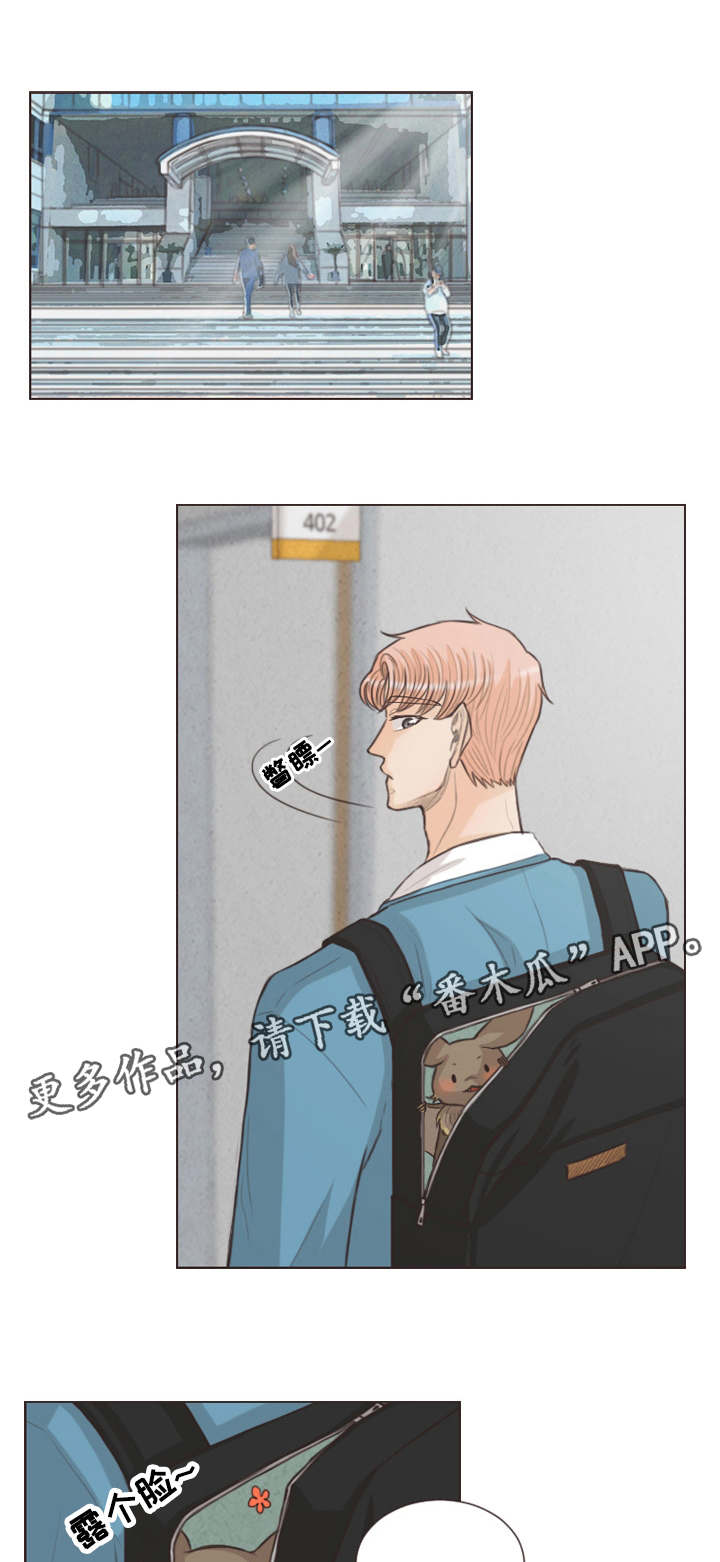 第28章：背着我养猫0