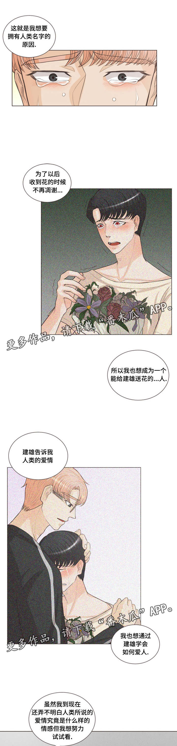 第25章：类似爱情7