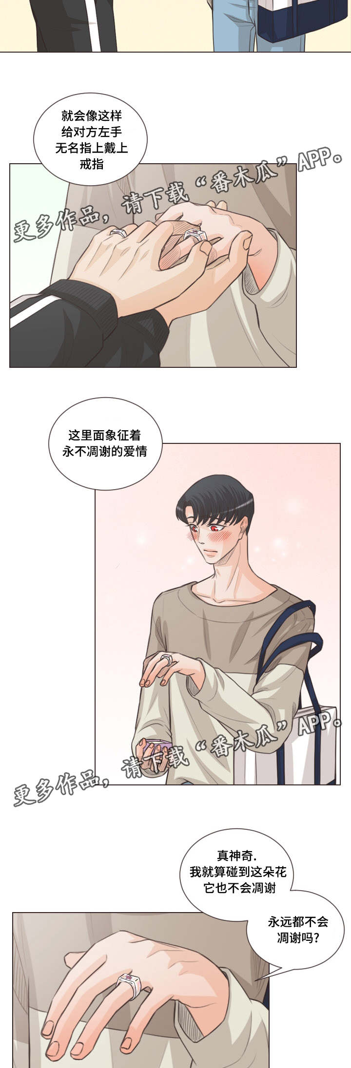 第59章：对戒2