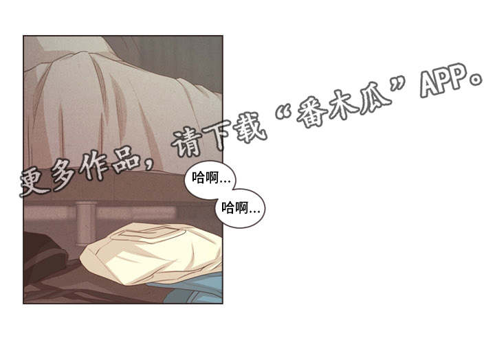 第38章：受伤的是你7