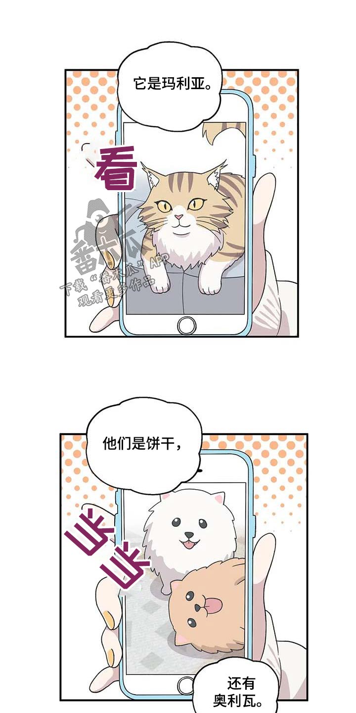 第43章：气氛12