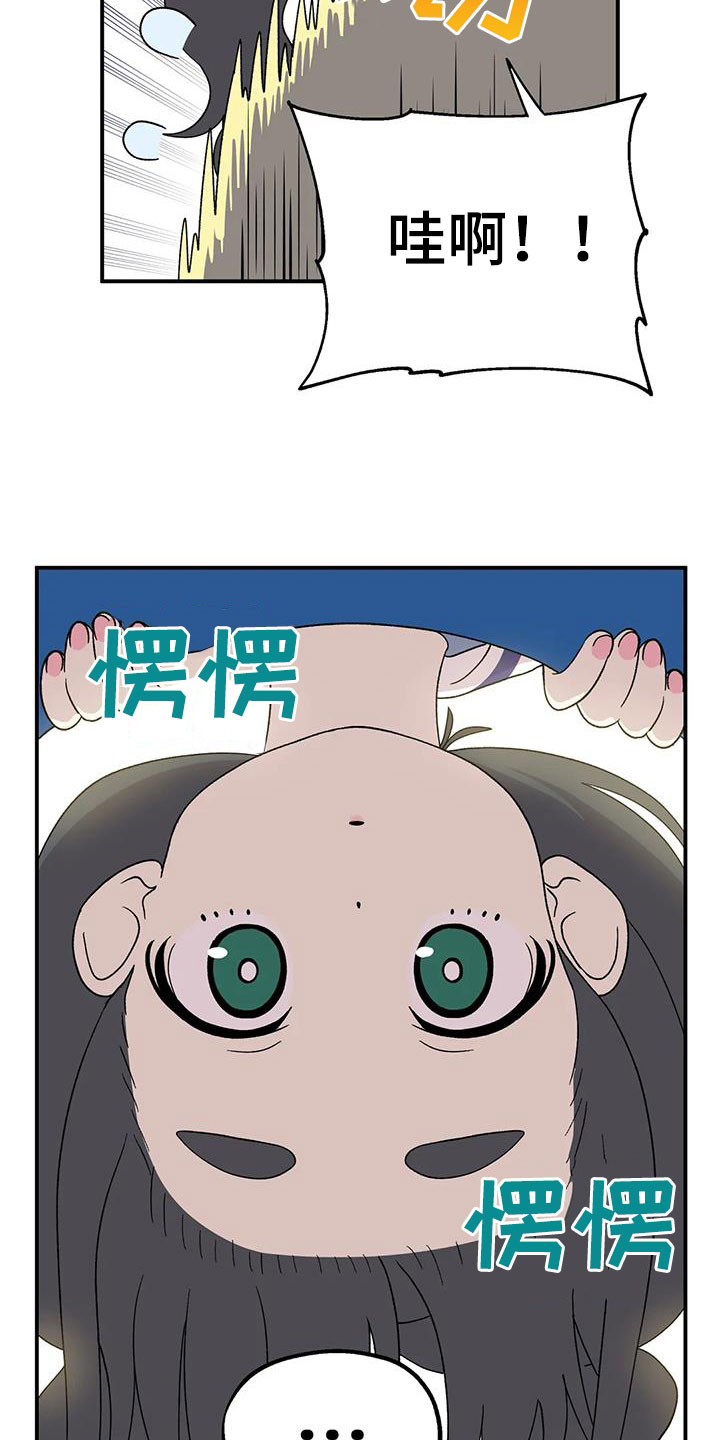 第24章：游乐场5