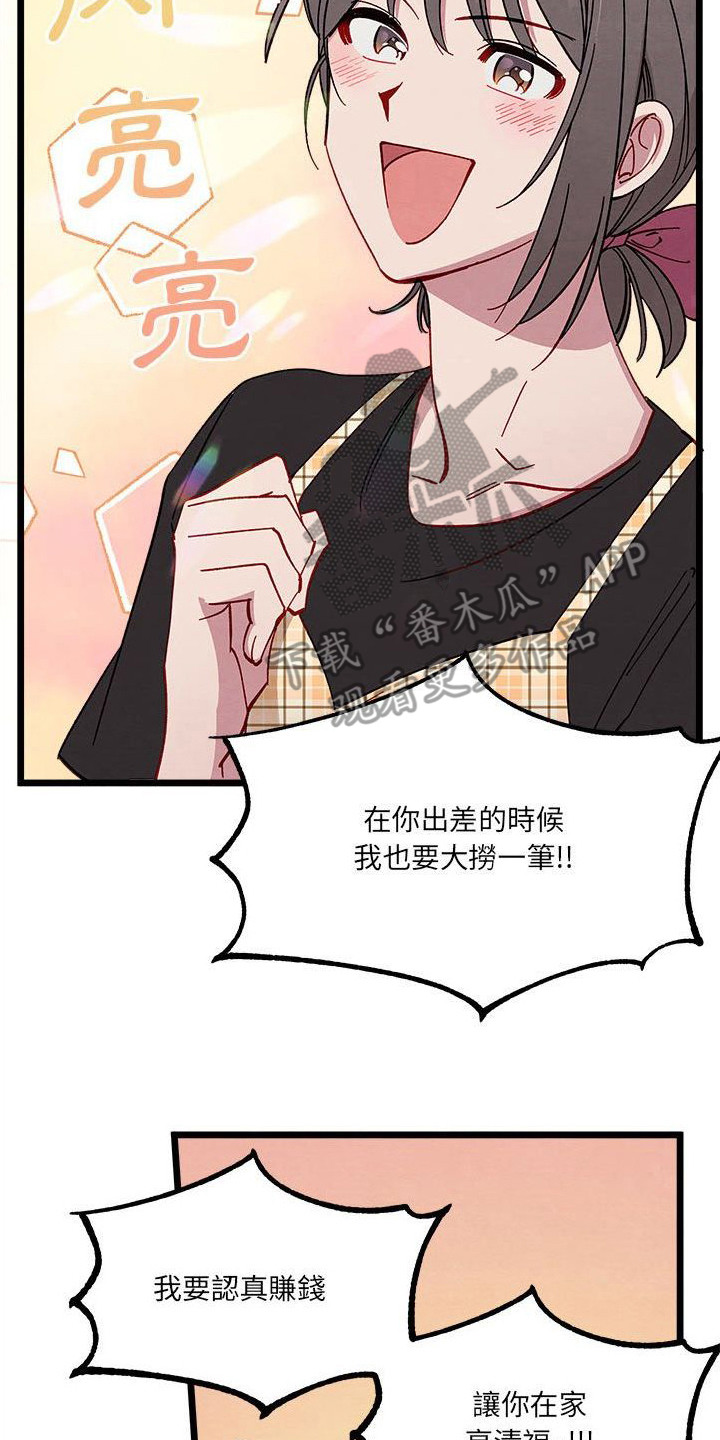 第13章：对策20
