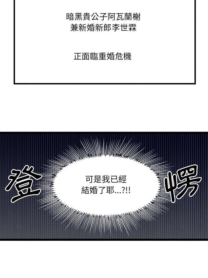 第11章：重婚危机20