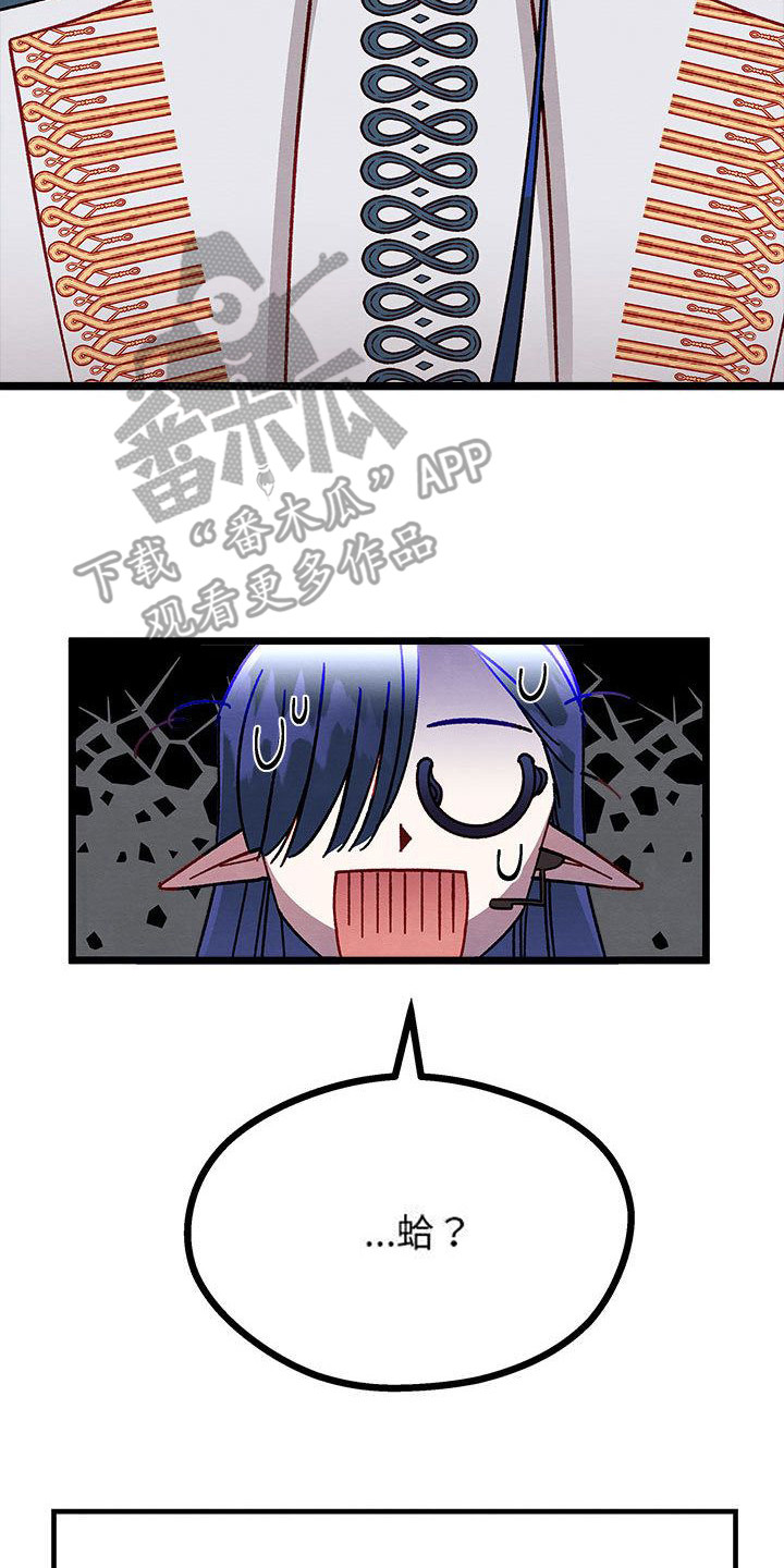 第11章：重婚危机19