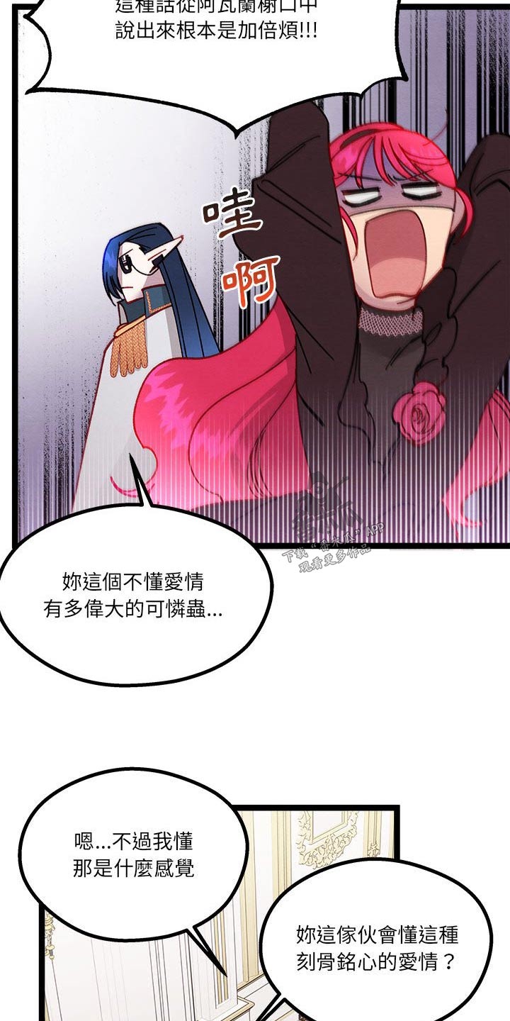 第22章：神秘玫瑰5