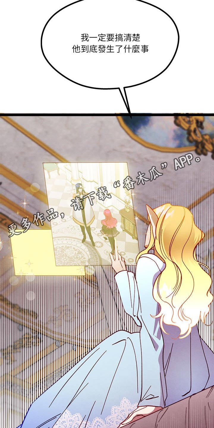 第22章：神秘玫瑰24
