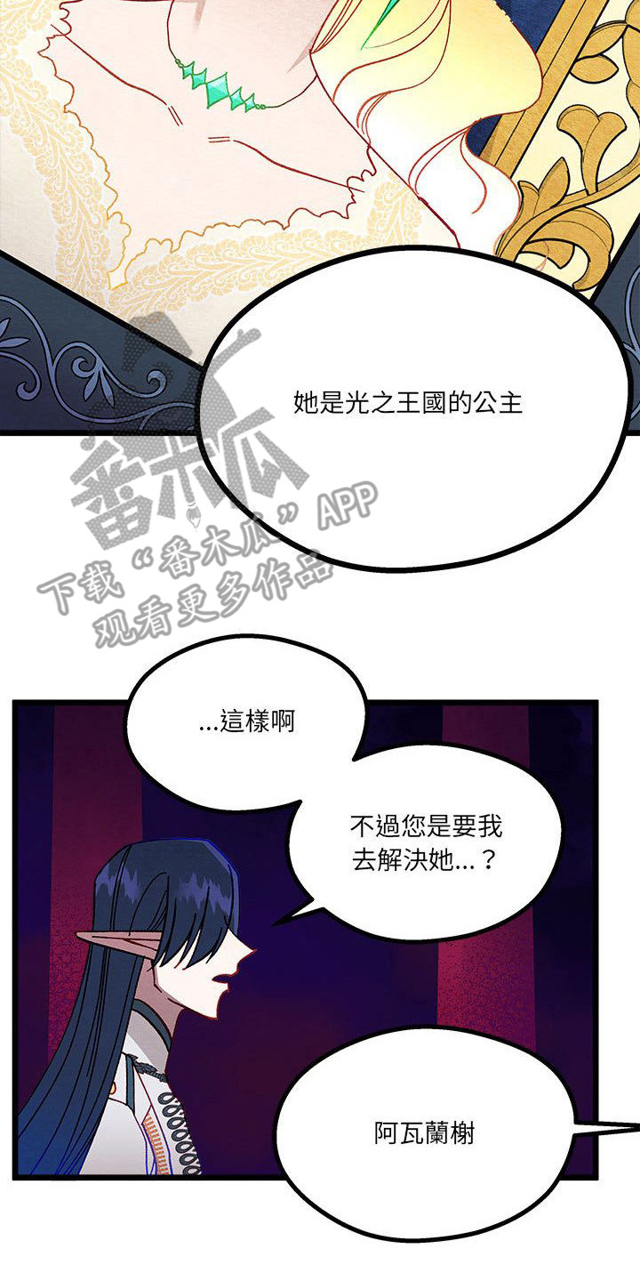 第11章：重婚危机16