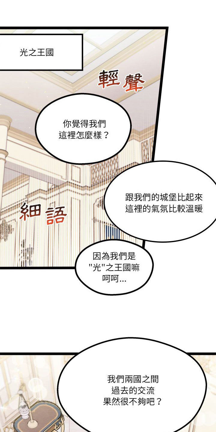 第16章：会面19