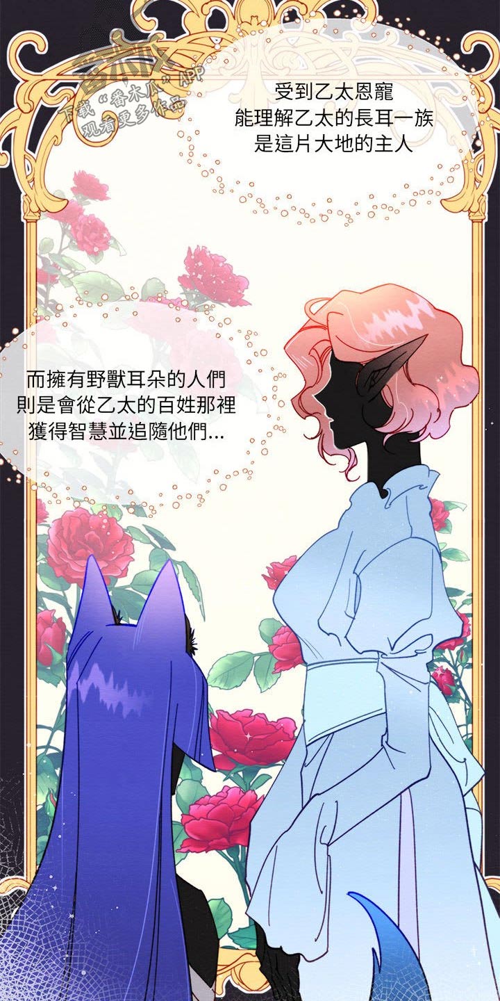 第28章：了解10