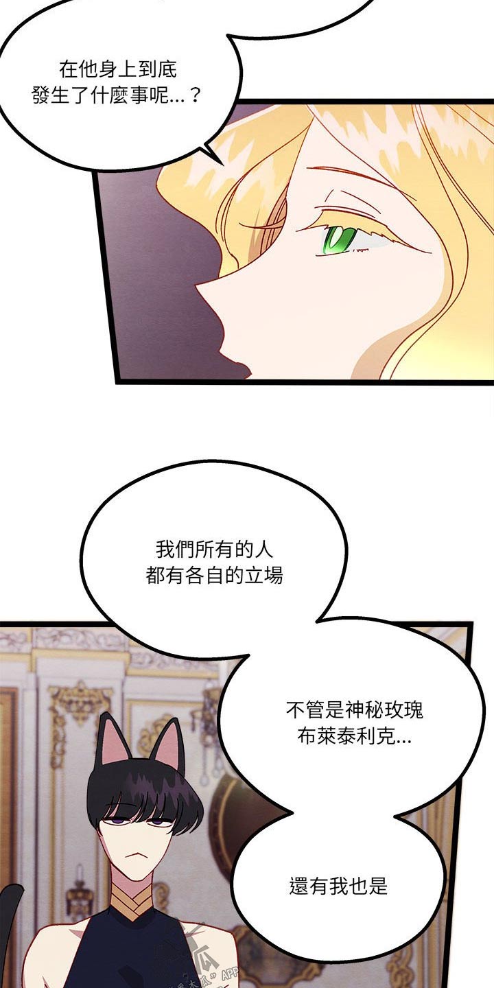 第22章：神秘玫瑰22