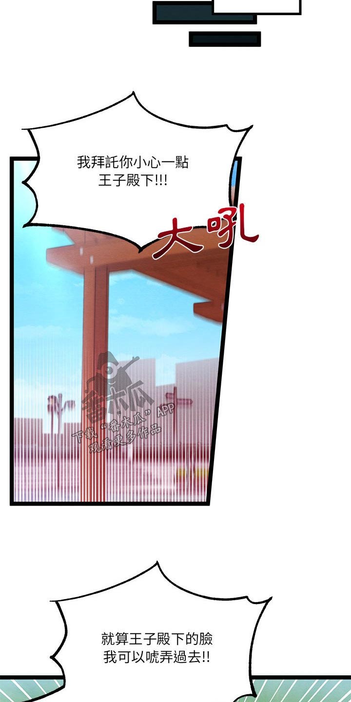 第28章：了解5