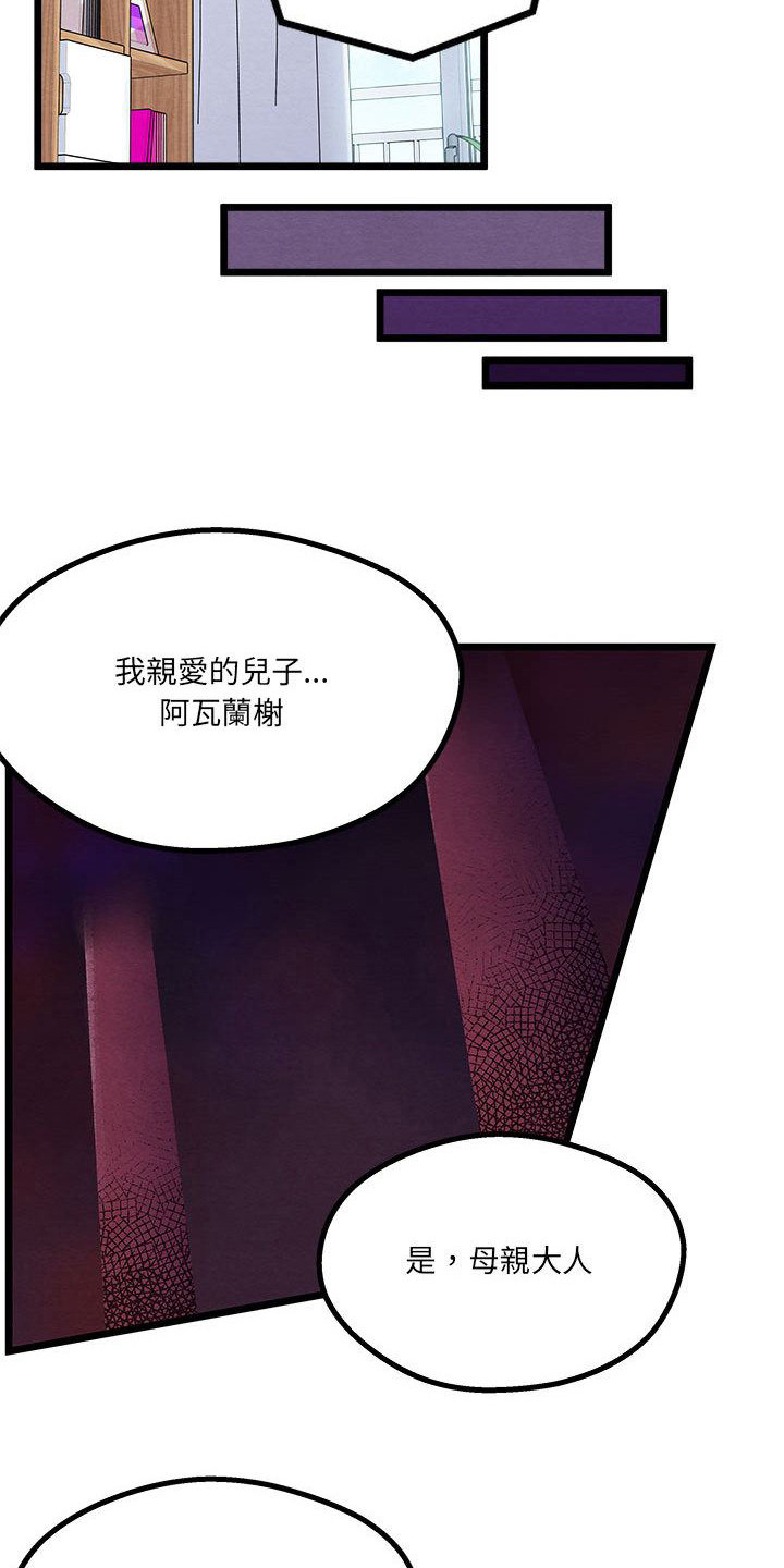 第11章：重婚危机12