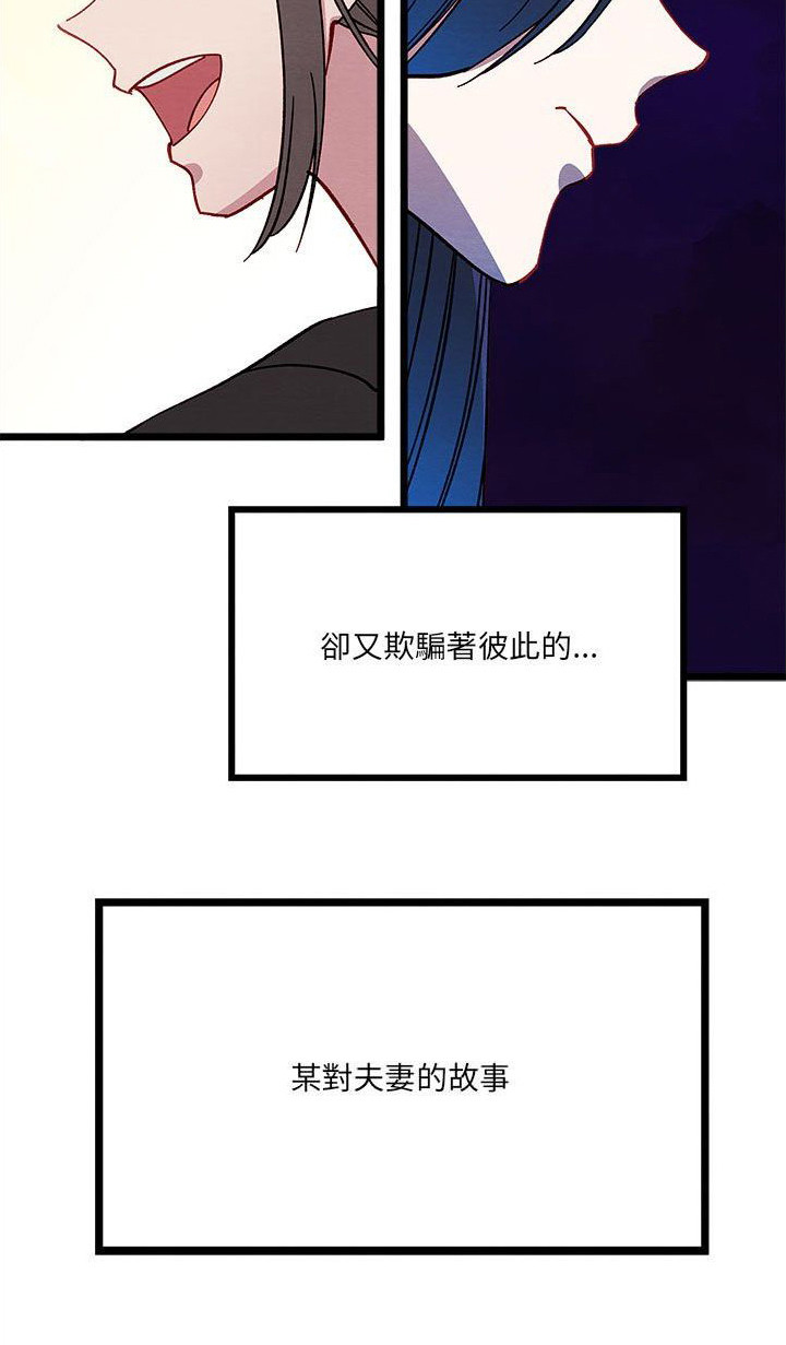 第13章：对策22
