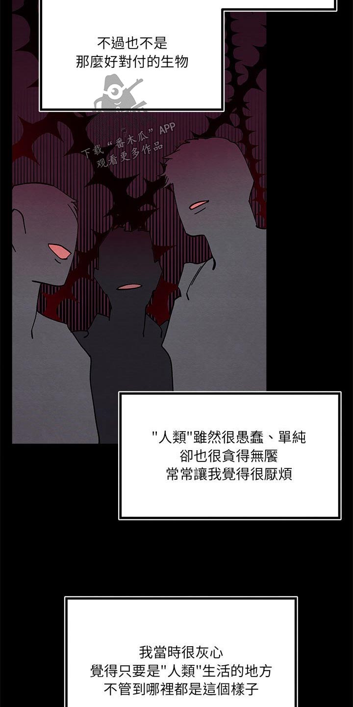 第19章：愤怒13