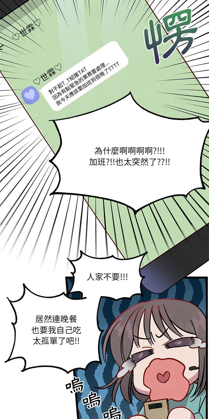 第11章：重婚危机5