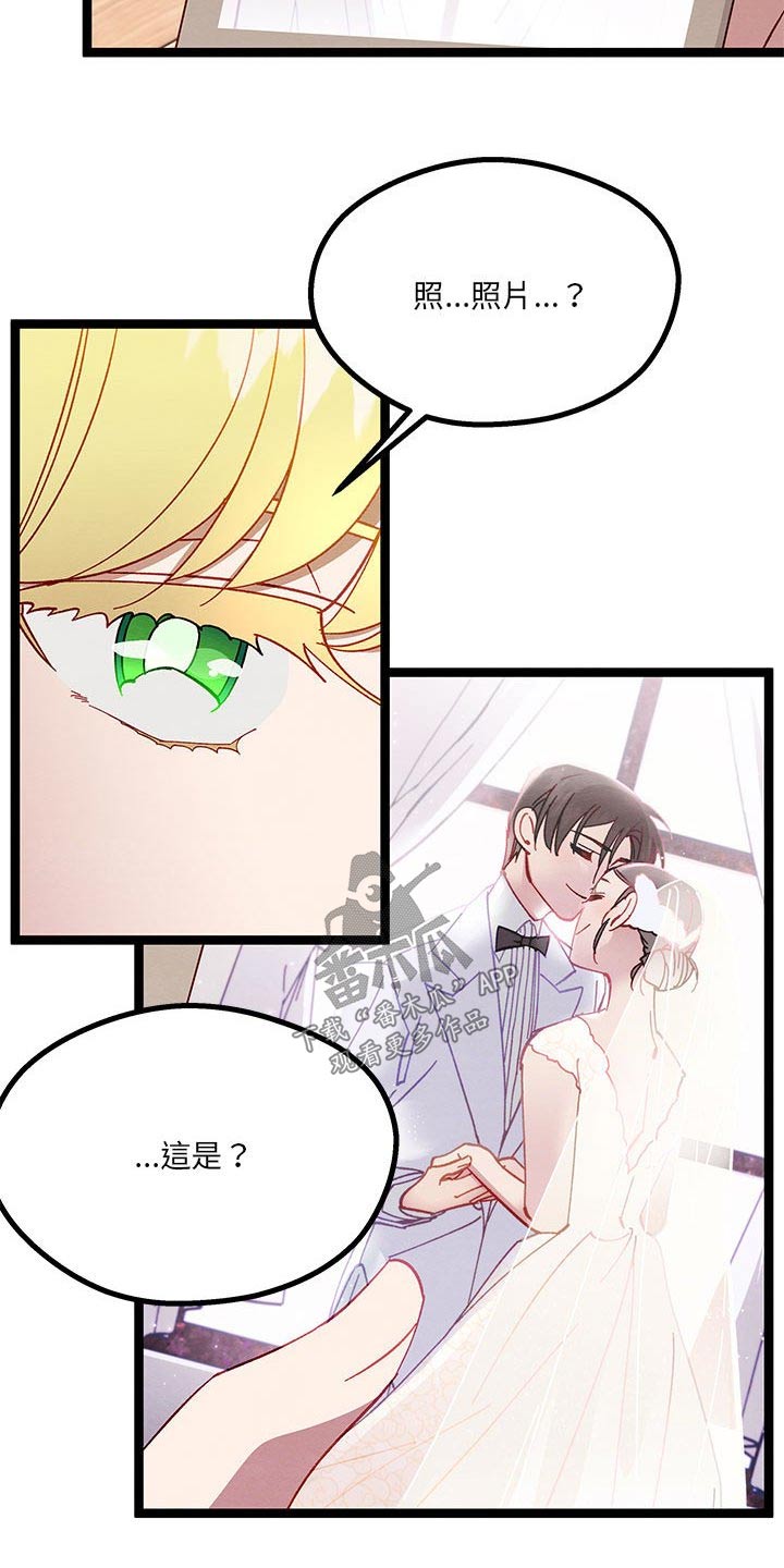 第34章：已经结婚19