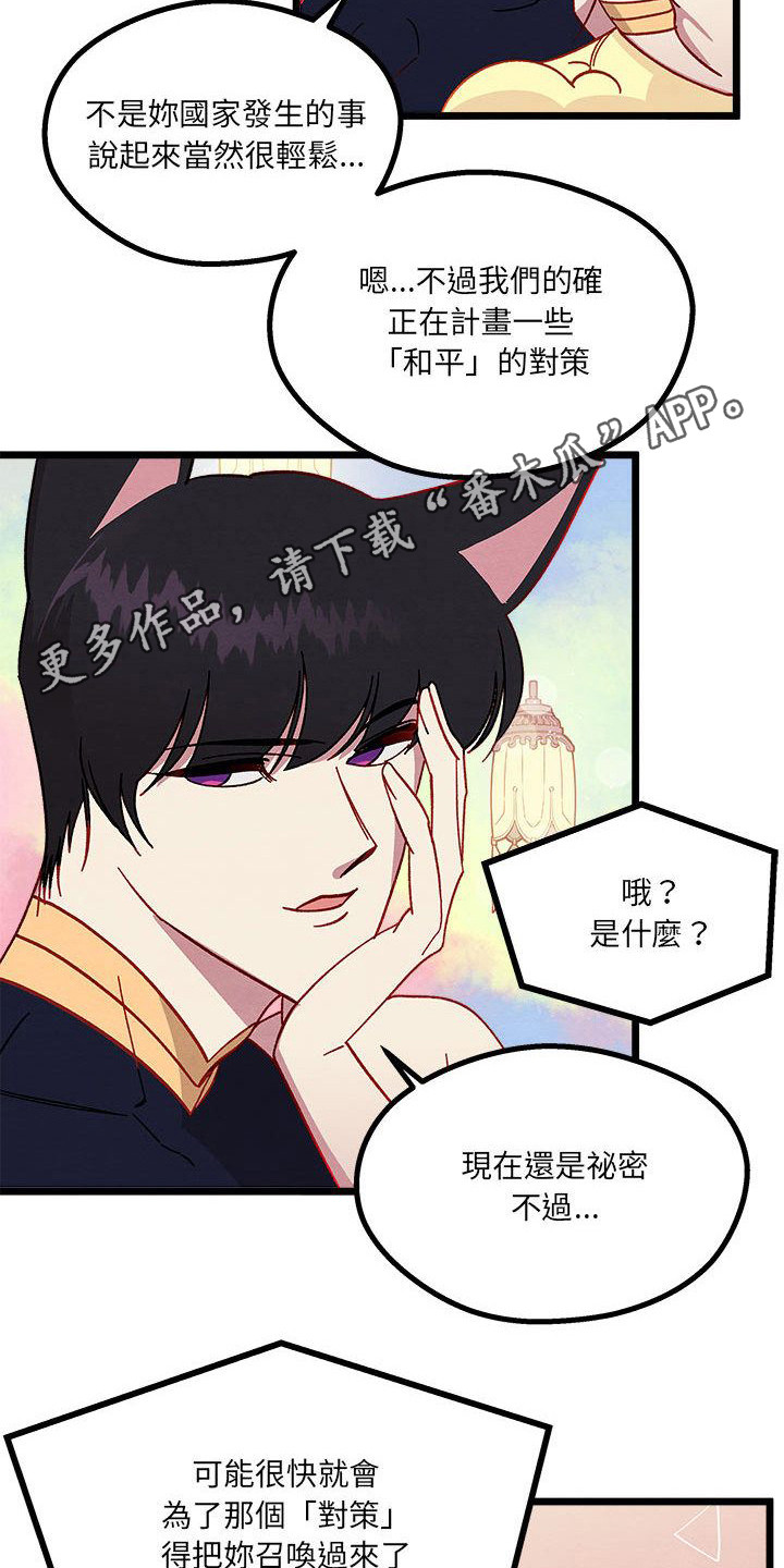 第11章：重婚危机10