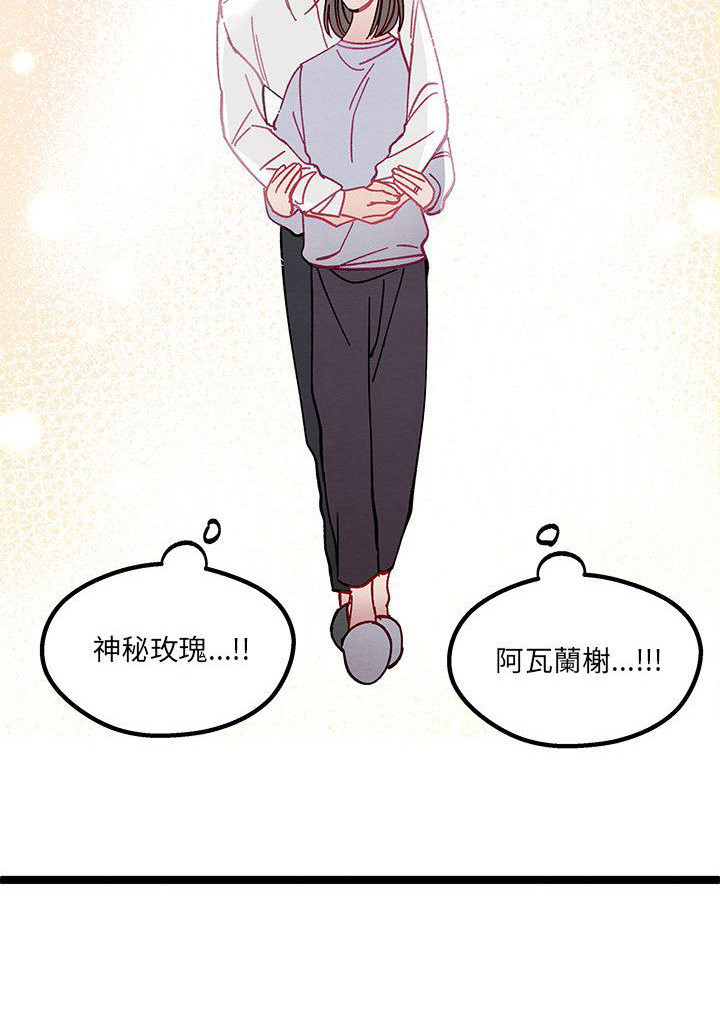 第5章：各自的秘密22